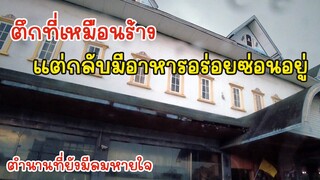 ตึกที่เหมือนตึกร้างแต่กลับมีอาหารอร่อยซ่อนอยู่ 13 เหรียญ ตำนานที่ยังมีลมหายใจ