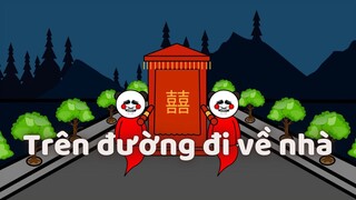 GẤU KINH DỊ Trên đường đi về nhà