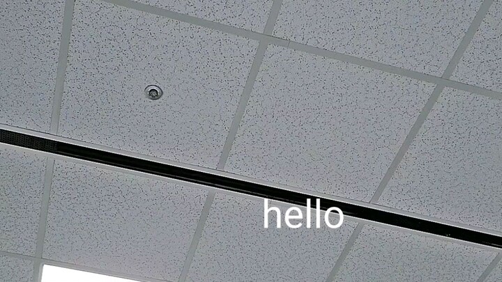ssvg