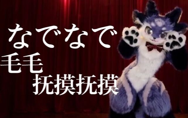 毛茸茸超可爱！！【FURRY】《抚摸抚摸》/兽装舞蹈《なでなで》【犬琉】