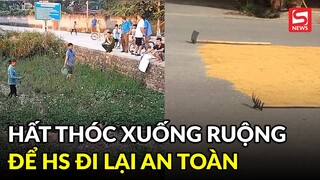 Xôn xao bác bảo vệ xúc thóc lúa xuống ruộng để học sinh đi lại an toàn