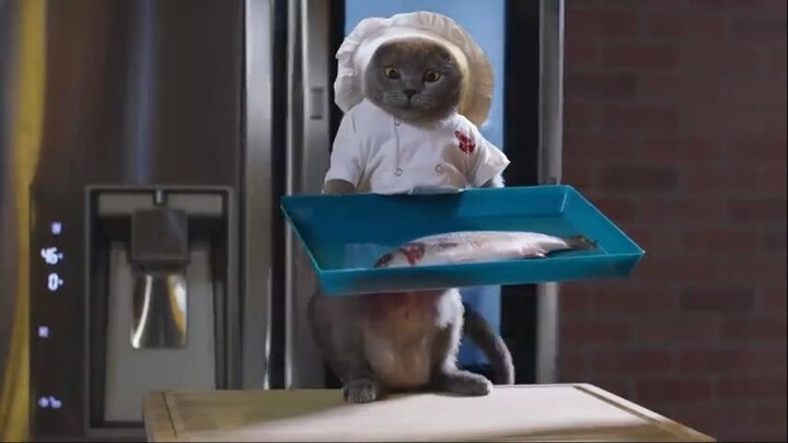 The Cat Cooking Show 2