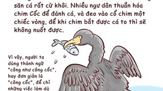 lũ thật sự;))