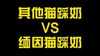 القطط الأخرى لطيفة ورائعة. نظرات قط مين كون ثابتة وكأنه يريد الانضمام إلى الحزب!