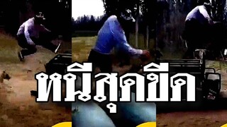 @Awesome Videos วิ่งหนีฟัด จ้ำสุดชีวิต อย่าเสียเวลาเหลียวหลังมาดูเด็ดขาด ไม่งั้นไม่รอด