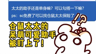 仓鼠太太的助手也都是萌物！还被人惦记上了！