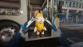 Banana Cat Lost Shoes