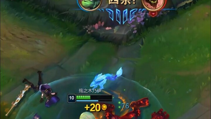 Survival Rules in the Wild Region