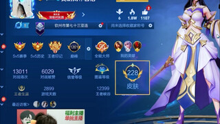 贵族0账号号里228个皮肤？