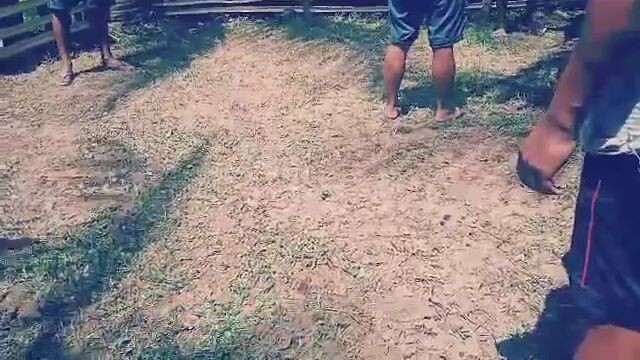 haha lakas tama😂😂😂