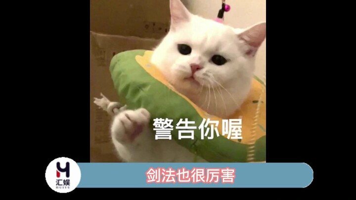 If I could travel back in time, I wouldn't be able to remember so many poems! #WouldLiBaiStillBeFamo