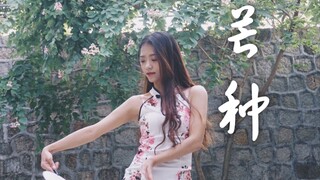 【小伊妍】芒种不妩媚不温柔版 旗袍一镜到底