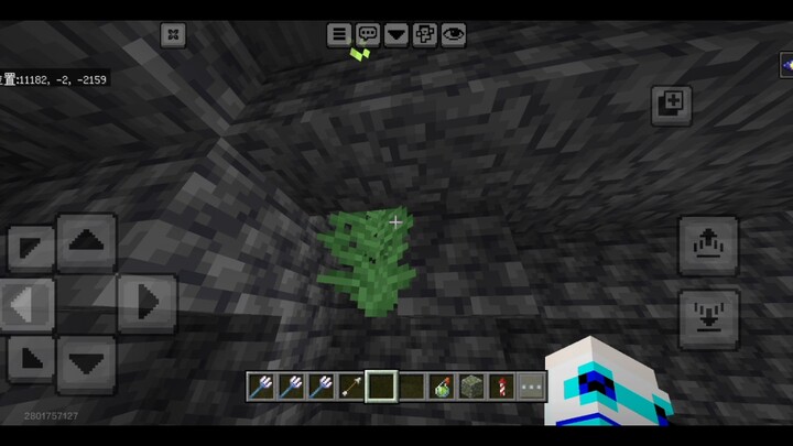 This is a world overrun by ferns.