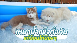 เหมาน้ำแข็งทั้งคัน แก้ร้อนให้น้องๆ - ข้าวนึ่ง & เดอะแก๊ง Ep.5