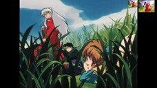 INUYASHA THUYẾT MINH TẬP 55 BẾ HÔ LY BIẾT YÊU LÀM INUYASHA NHỚ VỀ TÌNH ĐÂU