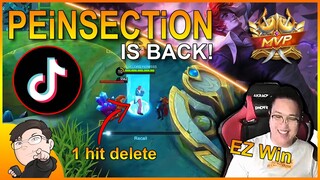 PEiNSECTiON IS BACK WITH ANOTHER TIKTOK MOVES!