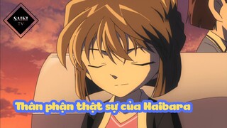 [Thám Tử Lừng Danh Conan] - Thân phận thật sự của Haibara - Tập 114