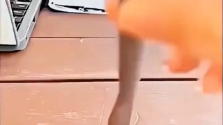 “Đây là lần đầu tiên tôi thấy có người cắt MMD như thế này.”