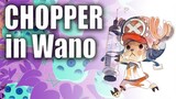 Chopper's Role In Wano | The Cure For SMILE