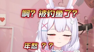 别钓了!!!别钓了！再钓真的傻了
