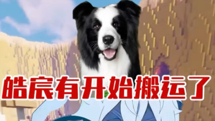 [Border Collie’s Fish-Frying Chronicles] New video is live—please follow!