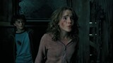 Harry Potter meets Sirius Black - Harry Potter and the Prisoner of Azkaban [Open