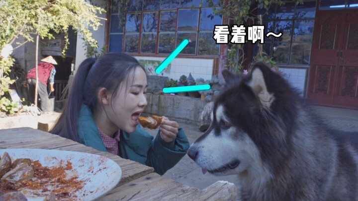 I may not be human, but you’re the real dog!