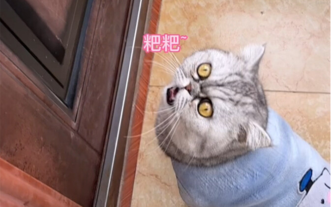 拉个粑粑都不得安宁