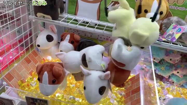 Cara yang Benar untuk Main Mesin Penjepit Boneka