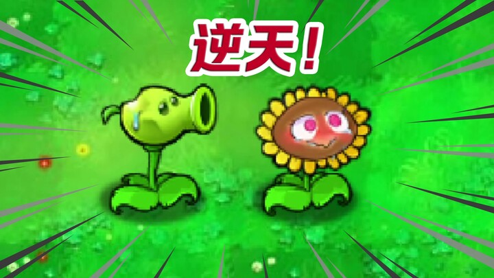 这 个 花 园 有 点 奇 怪