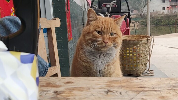 You turned into this after just one night apart!