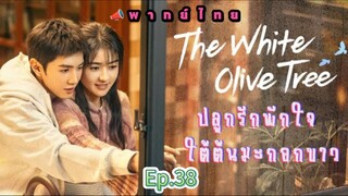 Episode 38