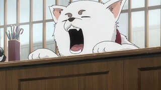 Gintama: Tahukah kau betapa buruknya film Gintama pertama?