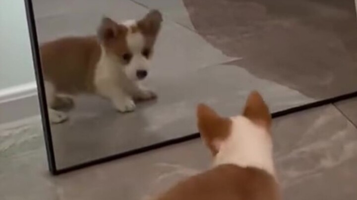 "Hello there, little friend!"