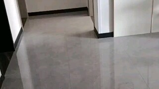 Mẹ tôi phàn nàn về tôi vào dịp Tết Nguyên đán.