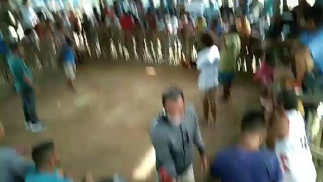buyer update at Palawan .ISA Lang na video pero dalawang binili puro panalo