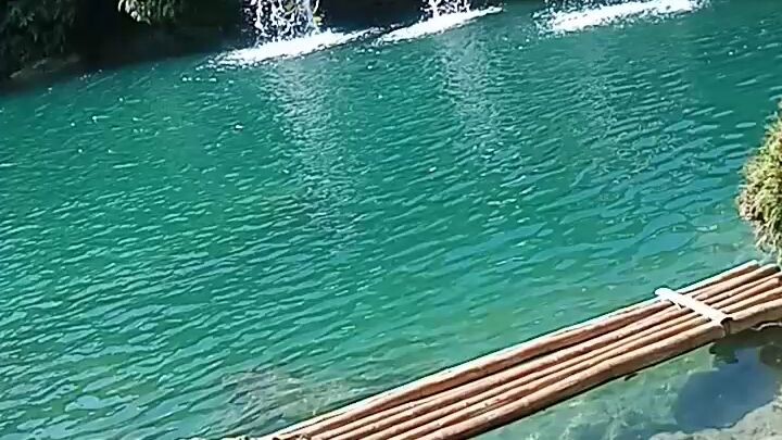enjoy the life