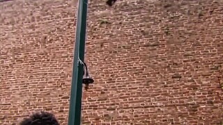 “粉丝送给甲亢哥最疯狂的礼物”#甲亢哥 #IShowSpeed #搞笑