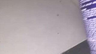 viral meme