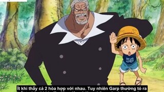 Những người thầy vĩ đại nhất trong One Piece __  2