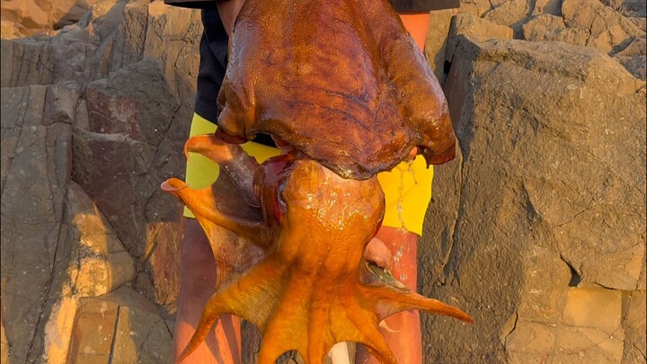 Thử thách nhảy cao với mực khổng lồ suýt nữa thì thất bại!