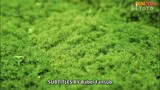 Don't Disturb Me Farming episode 23 (Indo sub)