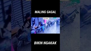 Curanmor apes Terbaru