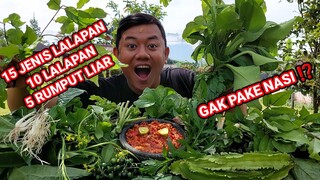 MUKBANG LALAPAN MENTAH 10 JENIS LALAPAN + 5 JENIS RUMPUT LIAR + SAMBAL TERASI CABE SETAN + IKAN ASIN