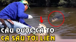 Ngồi Cả Ngày Mới Câu Được Con Cá To Chưa Kịp Vớt Lên Cá Sấu Đã Bơi Đến Hỏi Thăm | Tám Tới Tấp