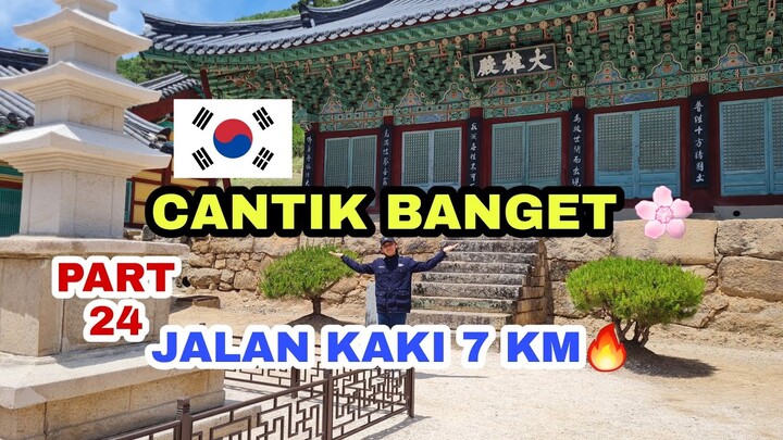 JALAN KAKI 7KM MENCARI KUIL HWANSEONGSA DI KOREA 🇰🇷 INDAH BANGET