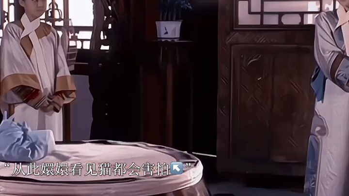 Huanhuan, who used to be terrified of cats, ended up keeping one in her later years.