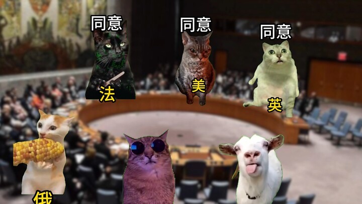 当日本想加入五常国家时