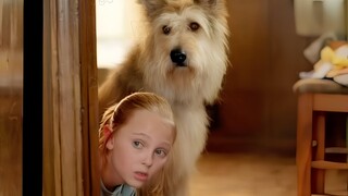 A Girl Gets Bullied Every Day In Her New Town Until She Finds A New Friend