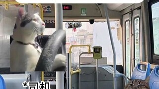 奇葩公交司机针对我